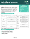 MERITUM